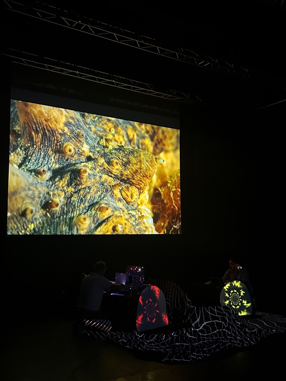 Live à Bioviv'art : images sous-marines sur grand écran, deux musiciens, projection mapping sur des formes arrondies et une grille au sol